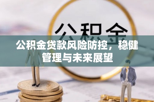 莘县公积金贷款风险防控，稳健管理与未来展望