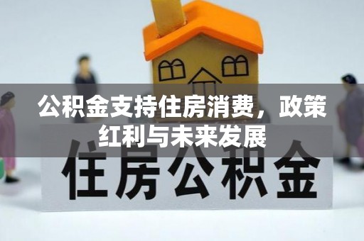 莘县公积金支持住房消费，政策红利与未来发展
