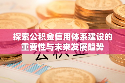 莘县探索公积金信用体系建设的重要性与未来发展趋势
