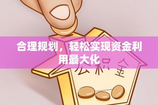 莘县合理规划，轻松实现资金利用最大化