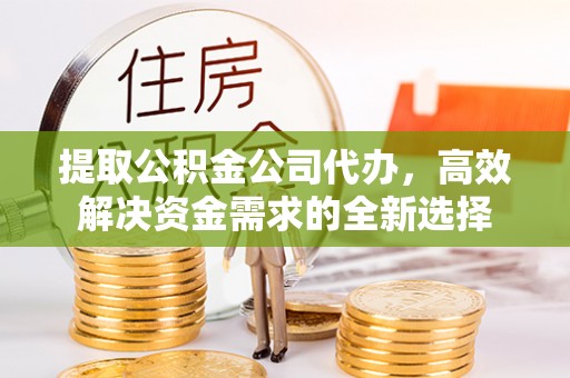 莘县提取公积金公司代办，高效解决资金需求的全新选择