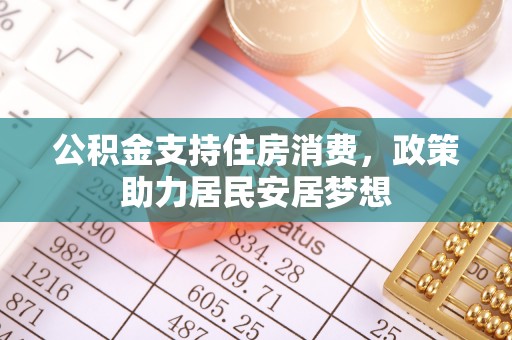 莘县公积金支持住房消费，政策助力居民安居梦想