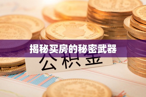 莘县揭秘买房的秘密武器