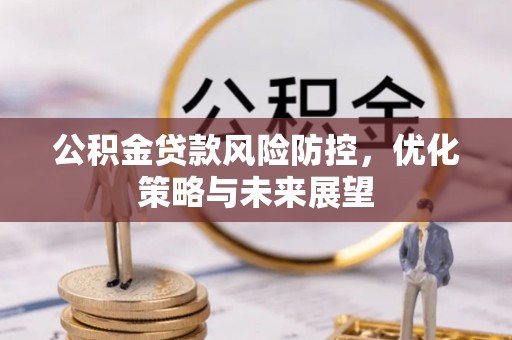 莘县公积金贷款风险防控，优化策略与未来展望