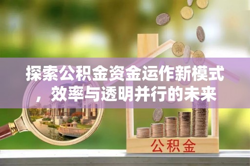 莘县探索公积金资金运作新模式，效率与透明并行的未来