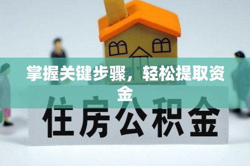 莘县掌握关键步骤，轻松提取资金