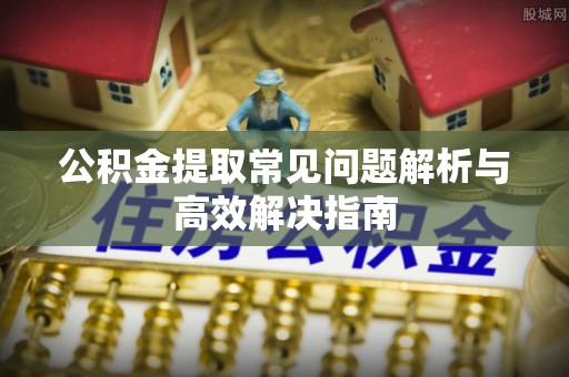 莘县公积金提取常见问题解析与高效解决指南