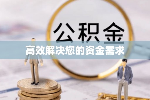 莘县高效解决您的资金需求