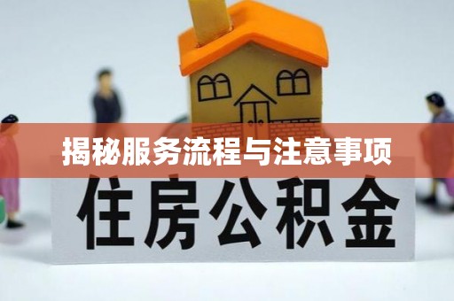 莘县揭秘服务流程与注意事项