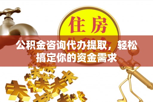 莘县公积金咨询代办提取，轻松搞定你的资金需求