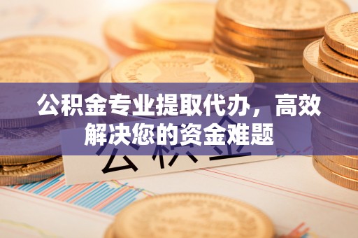 莘县公积金专业提取代办，高效解决您的资金难题