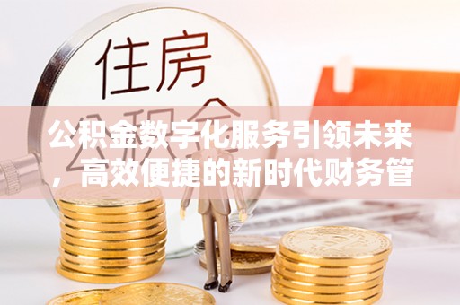 莘县公积金数字化服务引领未来，高效便捷的新时代财务管理