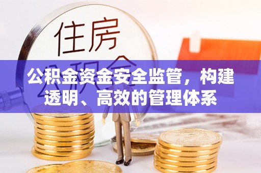 莘县公积金资金安全监管，构建透明、高效的管理体系