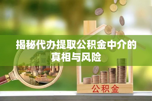 莘县揭秘代办提取公积金中介的真相与风险