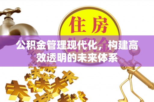 莘县公积金管理现代化，构建高效透明的未来体系