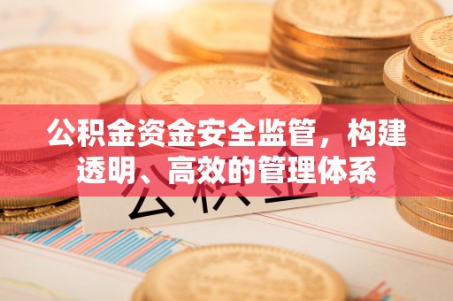 莘县公积金资金安全监管，构建透明、高效的管理体系