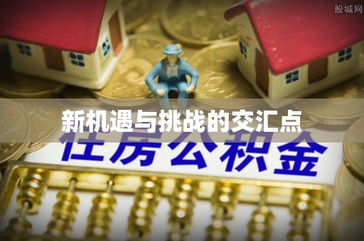 莘县新机遇与挑战的交汇点