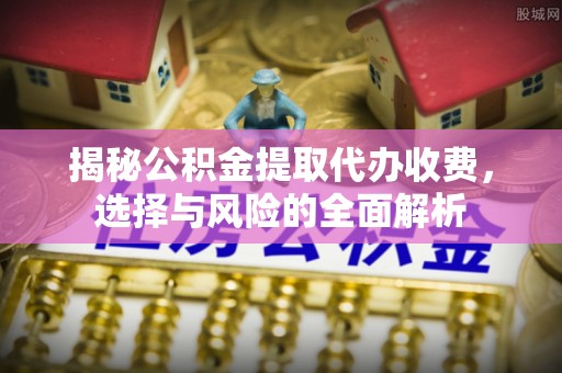 莘县揭秘公积金提取代办收费，选择与风险的全面解析