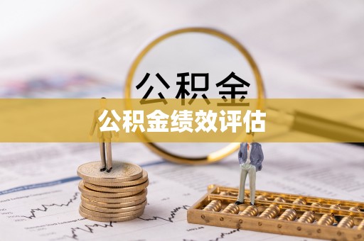莘县公积金绩效评估