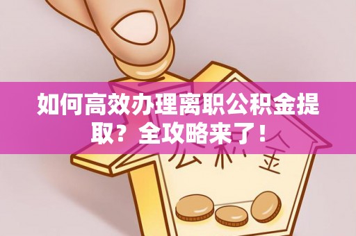 莘县如何高效办理离职公积金提取？全攻略来了！