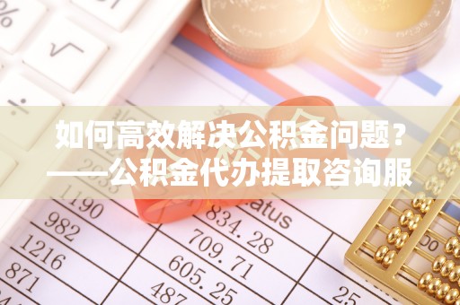 莘县如何高效解决公积金问题？——公积金代办提取咨询服务指南