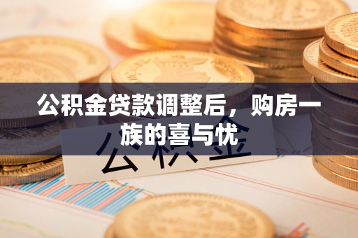 莘县公积金贷款调整后，购房一族的喜与忧