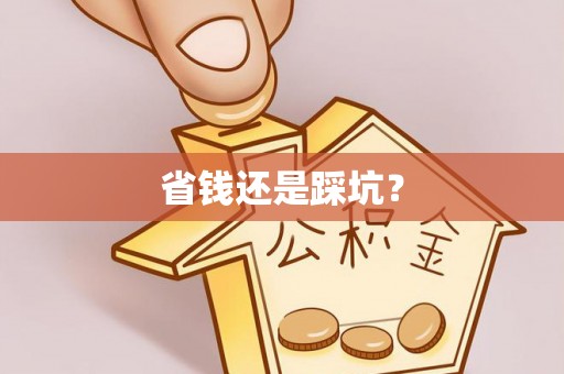莘县省钱还是踩坑？