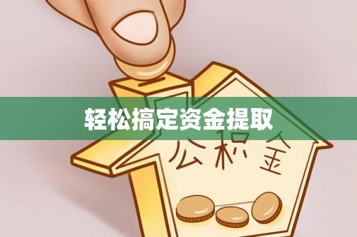 莘县轻松搞定资金提取