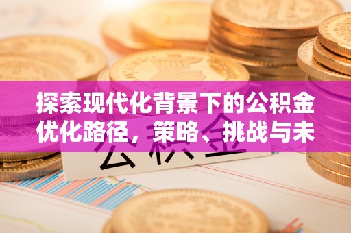 莘县探索现代化背景下的公积金优化路径，策略、挑战与未来展望