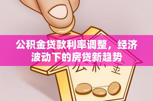 莘县公积金贷款利率调整，经济波动下的房贷新趋势