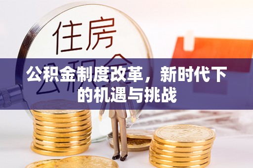 莘县公积金制度改革，新时代下的机遇与挑战