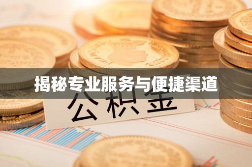莘县揭秘专业服务与便捷渠道