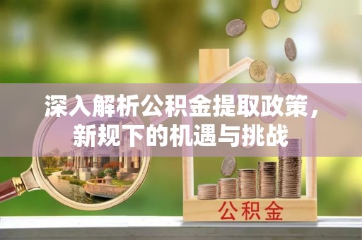 莘县深入解析公积金提取政策，新规下的机遇与挑战