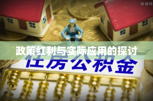 莘县政策红利与实际应用的探讨