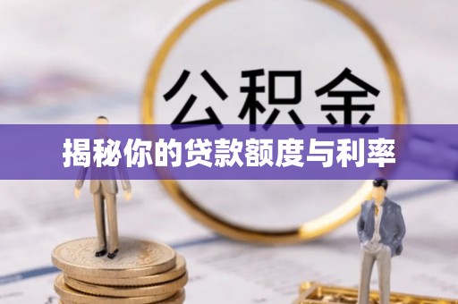 莘县揭秘你的贷款额度与利率