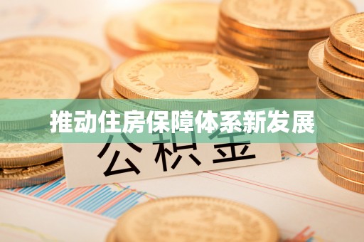 莘县推动住房保障体系新发展