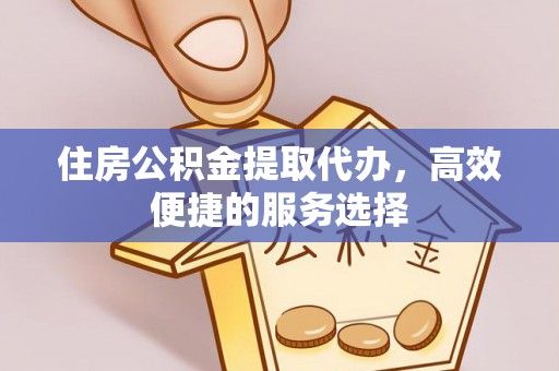 莘县住房公积金提取代办，高效便捷的服务选择