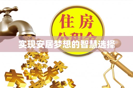 莘县实现安居梦想的智慧选择