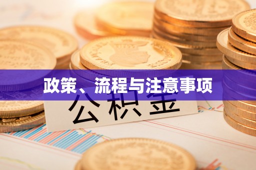 莘县政策、流程与注意事项
