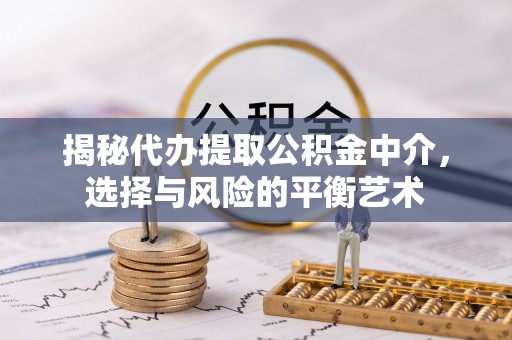 莘县揭秘代办提取公积金中介，选择与风险的平衡艺术