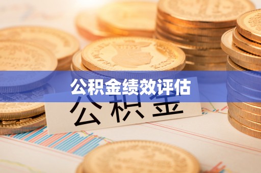 莘县公积金绩效评估