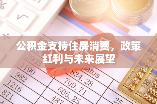 莘县公积金支持住房消费，政策红利与未来展望