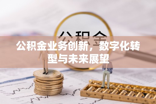 莘县公积金业务创新，数字化转型与未来展望
