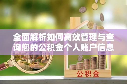 莘县全面解析如何高效管理与查询您的公积金个人账户信息