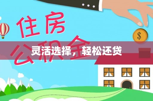 莘县灵活选择，轻松还贷