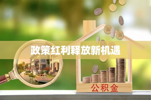 莘县政策红利释放新机遇