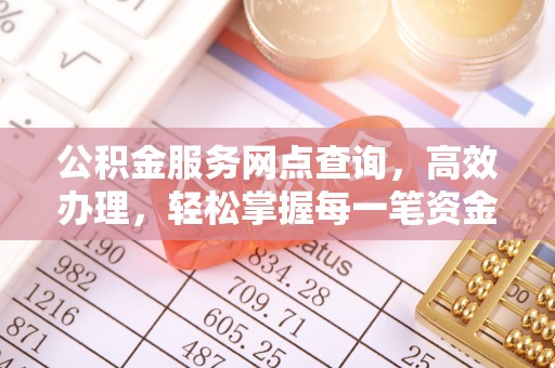 莘县公积金服务网点查询，高效办理，轻松掌握每一笔资金动态