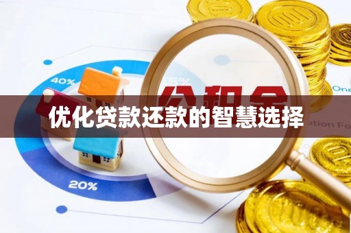 莘县优化贷款还款的智慧选择