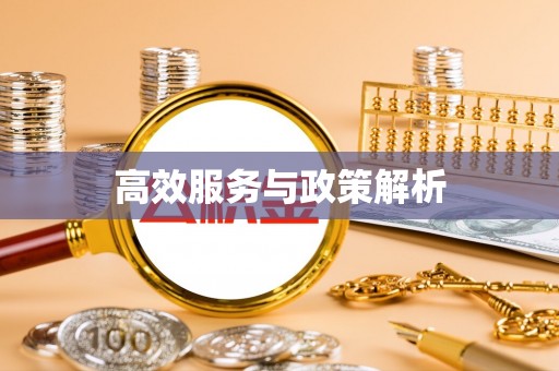 莘县高效服务与政策解析