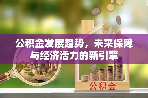 莘县公积金发展趋势，未来保障与经济活力的新引擎